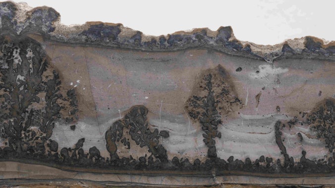 Cotham or landscape marble specimen from the Cabinet of Curiosities, A la Ronde, Devon